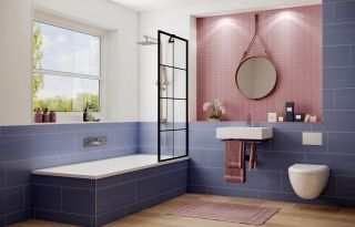 Шторка на ванну Ambassador Bath Screens 16041208 70см чёрный/прозрачное